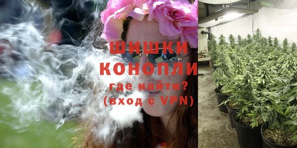гашик Бердск