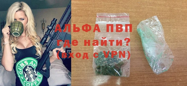индика Ачинск