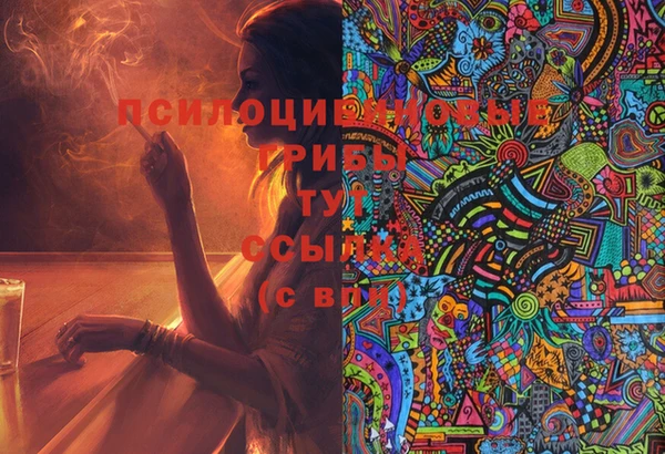 СК Вязники
